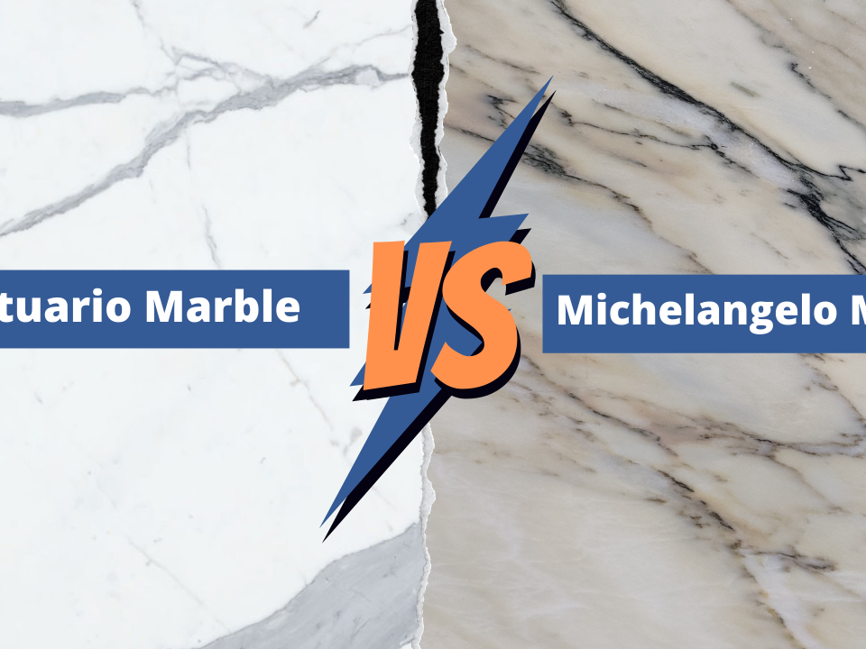 Michelangelo Marble vs Statuario Marble